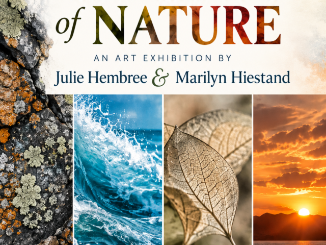 Elements of Nature: October Art Show at Blue Whole Gallery