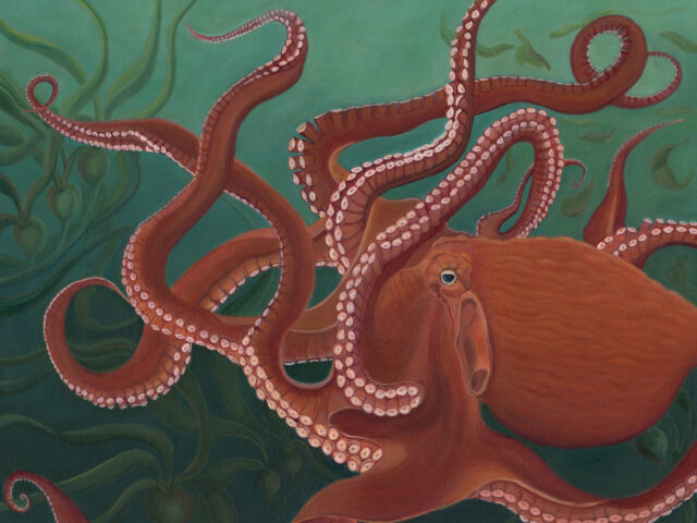 Meet Our Artist:  Lisa Allison Bluhm